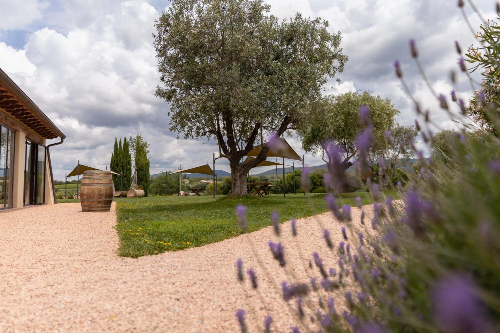 Locanda Dell'Aioncino Bibbona Eksteriør bilde